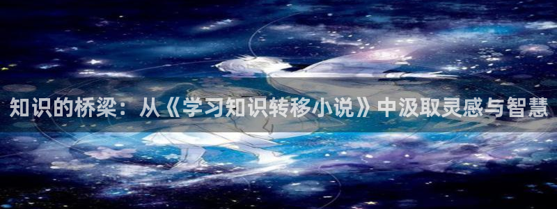 阿宾正传1—72与钰慧趣笔阁txt：知识的桥梁：从《学习知识转移小说》中汲取灵感与智慧